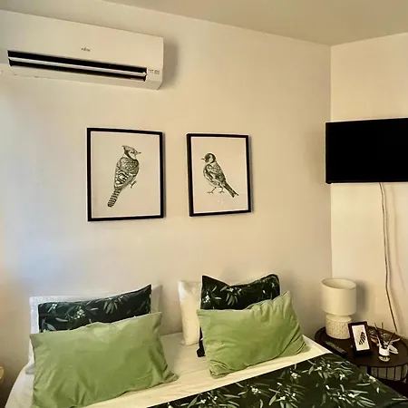 Amazing Apartamento *