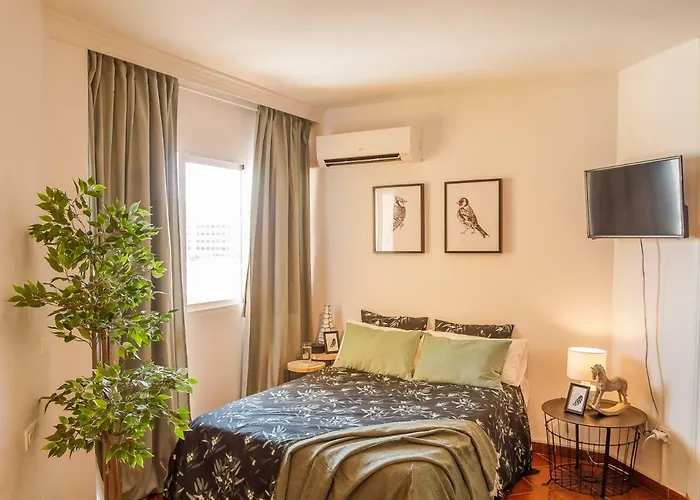 Amazing * Τορρεμολίνος